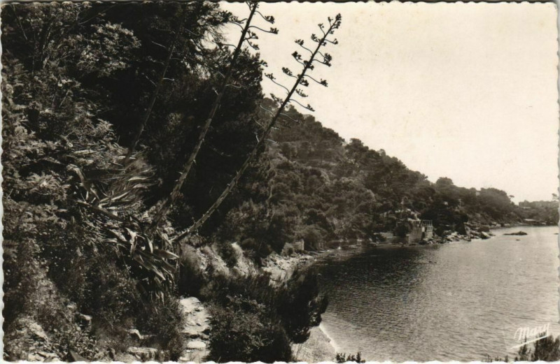 Carte postale ancienne Toulon Mourillon ,Sentier des Douaniers France à Toulon