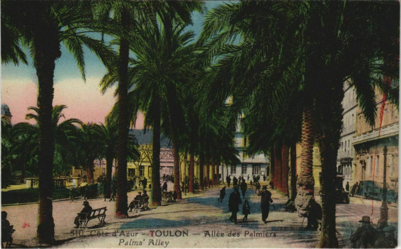Carte postale ancienne Toulon Allee des Palmiers France à Toulon