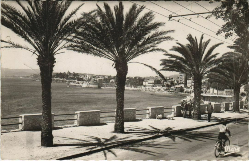 Carte postale ancienne Toulon Le Boulevard du Littoral France à Toulon