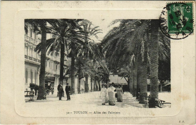Carte postale ancienne Toulon Allee des Palmiers France à Toulon