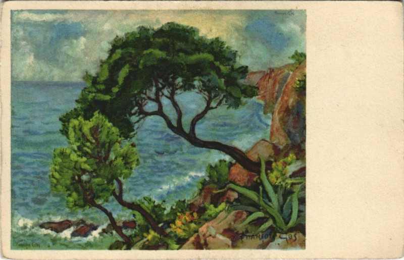 Carte postale ancienne Toulon Pin au Mourillon France à Toulon