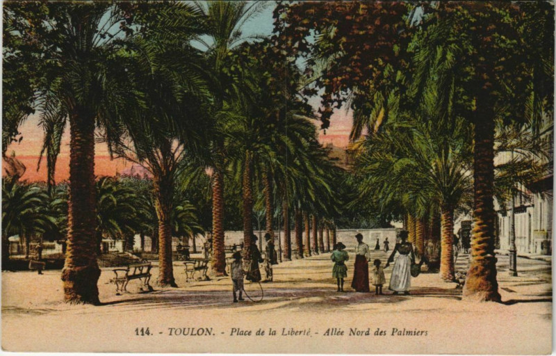 Carte postale ancienne Toulon Place de la Liberte ,Allee des Palmiers France à Toulon