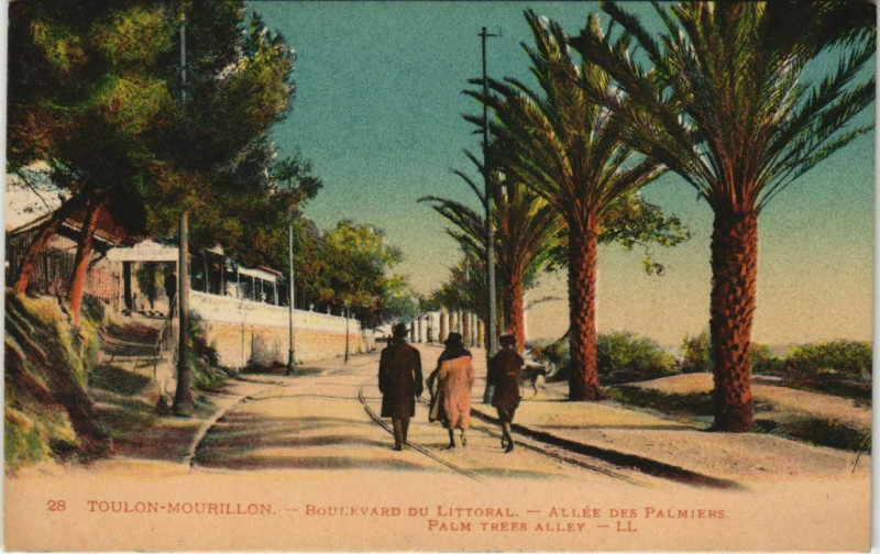 Carte postale ancienne Toulon Boulevard du Litteral ,Allee des Palmiers France à Toulon