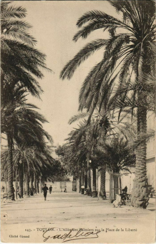 Carte postale ancienne Toulon Allee des Palmiers sur la Place de la Liberte France à Toulon