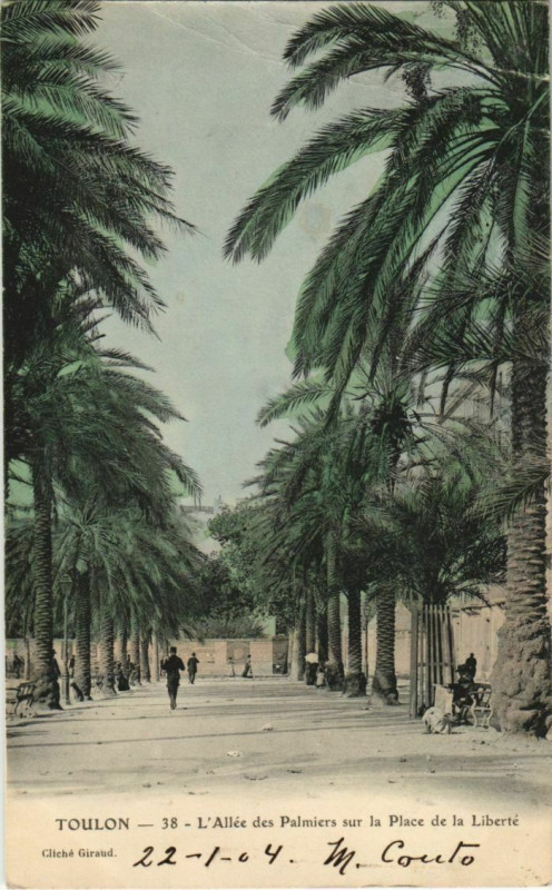 Carte postale ancienne Toulon Allee des Palmiers sur la Place de la Liberte France à Toulon