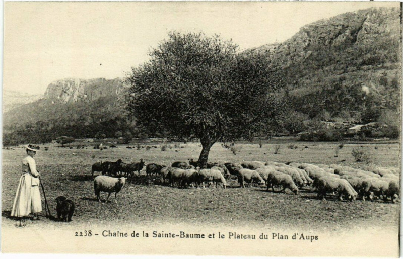 Carte postale ancienne Chaine de la Sainte-Baume et le Plateau du Plan