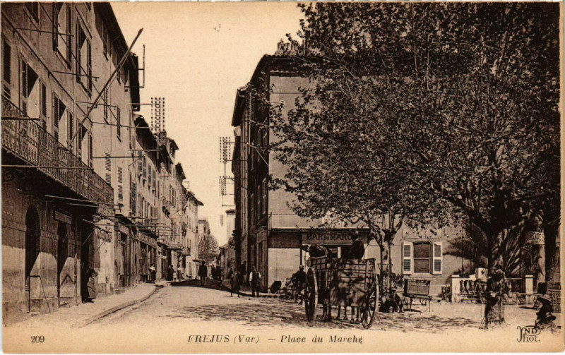 Carte postale ancienne Frejus - Place du Marche à Fréjus