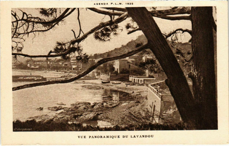 Carte postale ancienne Vue Panoramique du Lavandou