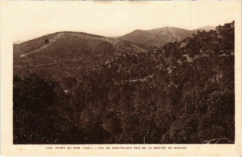 Carte postale ancienne Foret du Dom - Col de Cratteloup pris de la Montee de Babaou