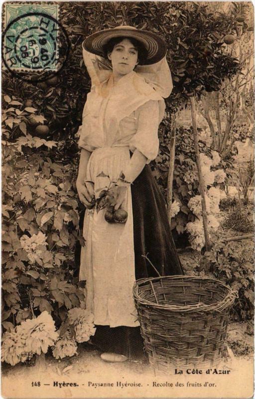 Carte postale ancienne Hyeres - Payssanne Hyeroise à Hyères
