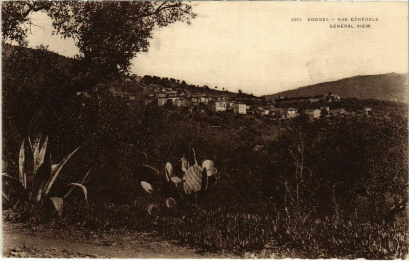 Carte postale ancienne Bormes - Vue générale