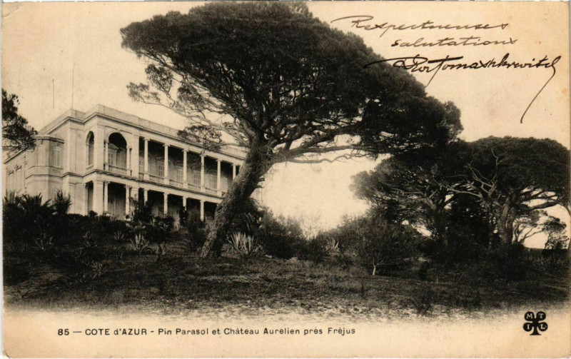 Carte postale ancienne Cote d'Azur - Pin Parasol et Chateau Aurelien pres Frejus à Fréjus