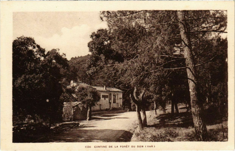 Carte postale ancienne Cantine de la Foret du Dom