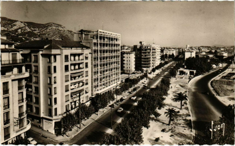 Carte postale ancienne Toulon - Avenue Marechal-Foch à Toulon
