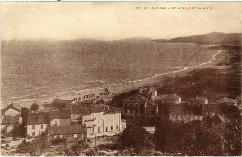 Carte postale ancienne Le Lavandou - Ses Hotels et sa Plage au Lavandou