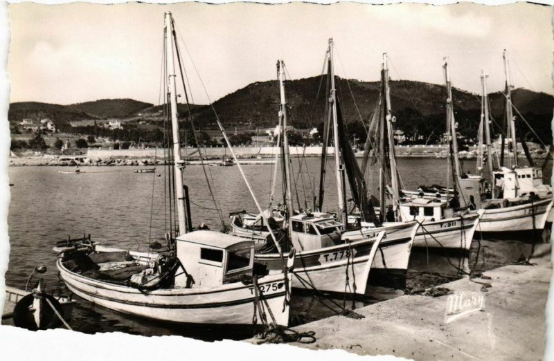 Carte postale ancienne Carqueiranne - Barques de Peche à Carqueiranne