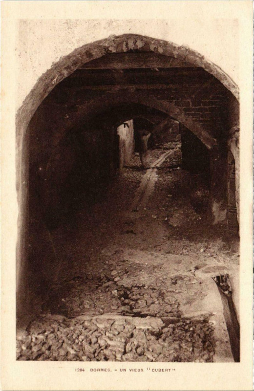 Carte postale ancienne Bormes - Un vieux