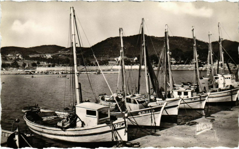 Carte postale ancienne Carqueiranne - Barques de Peche à Carqueiranne