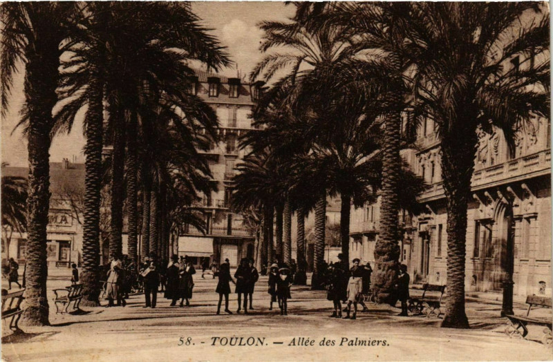 Carte postale ancienne Provence Var Toulon Allées des Palmiers à Toulon