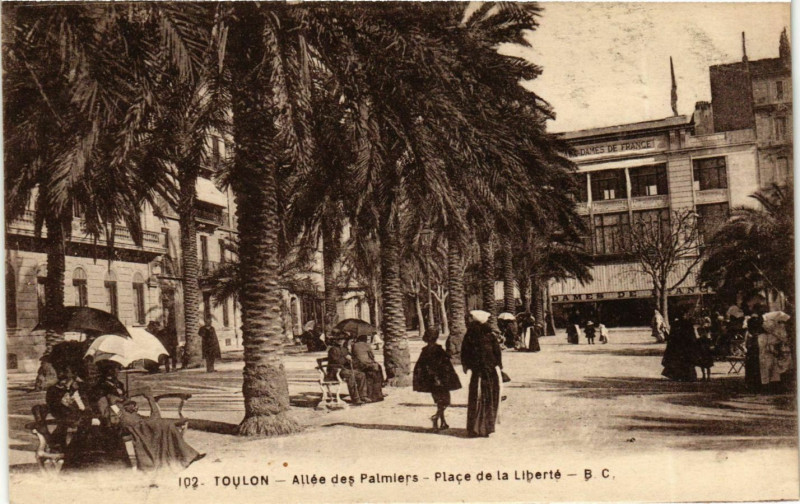 Carte postale ancienne Provence Var Toulon Allées des Palmiers à Toulon