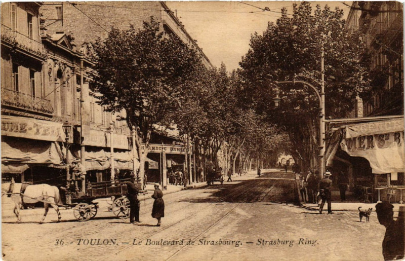 Carte postale ancienne Toulon Le Boulevard de Strasbourg à Toulon