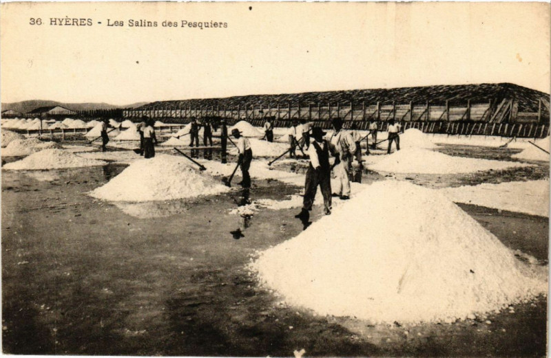 Carte postale ancienne Hyeres Les Salins des Pesquiers à Hyères