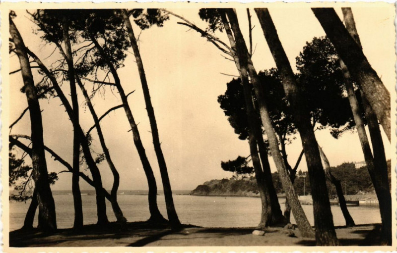 Carte postale ancienne Bords de Mer