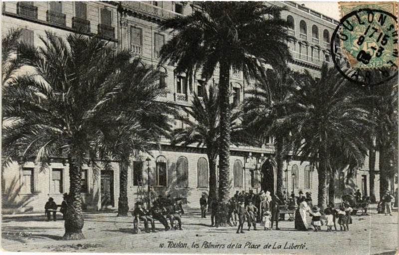 Carte postale ancienne Toulon les Palmiers de la Place de La Liberte à Toulon