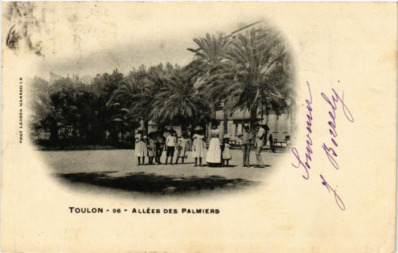 Carte postale ancienne Toulon Allees des Palmiers à Toulon