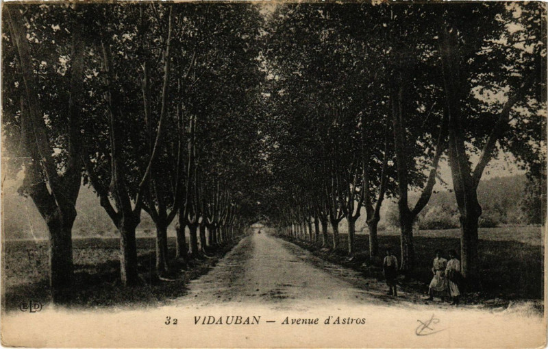 Carte postale ancienne Vidauban Avenue d'Astros à Vidauban
