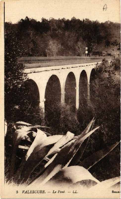 Carte postale ancienne Valescure Le Pont