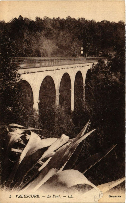 Carte postale ancienne Valescure Le Pont