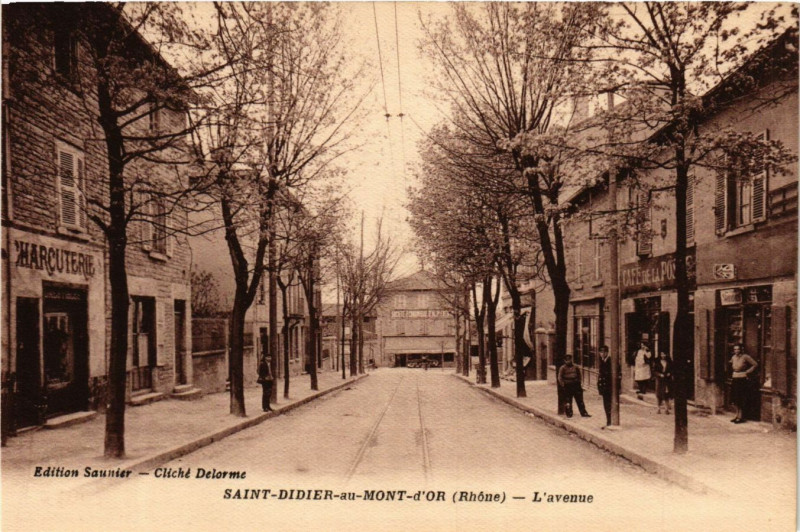 Carte postale ancienne Saint Didier au Mont D'Or - L'avenue à Saint-Didier-au-Mont-d'Or