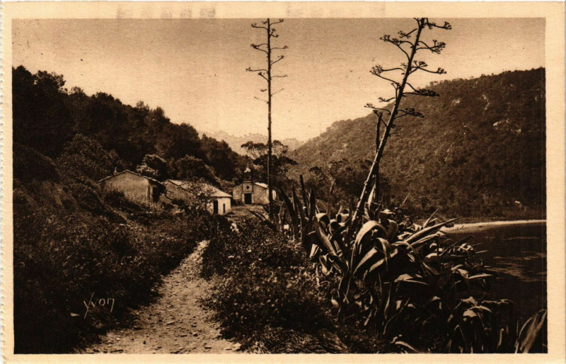 Carte postale ancienne Var Carte photo