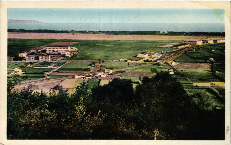Carte postale ancienne Hyeres-les-Palmiers Le Palyvestre et le Camp d'Aviation à Hyères