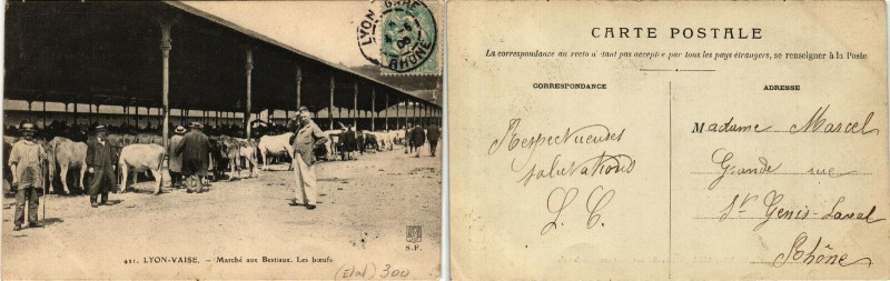 Carte postale ancienne Lyon Vaise Marché aux Bestiaux. Les Boeufs. à Lyon