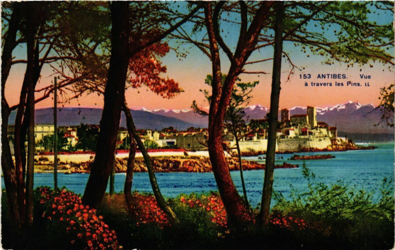 Carte postale ancienne Antibes - Vue a travers les Pins à Antibes