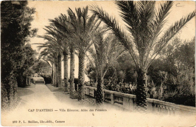 Carte postale ancienne Antibes - Cap d'Antibes - Villa Eilenroc - Allée des Palmiers à Antibes