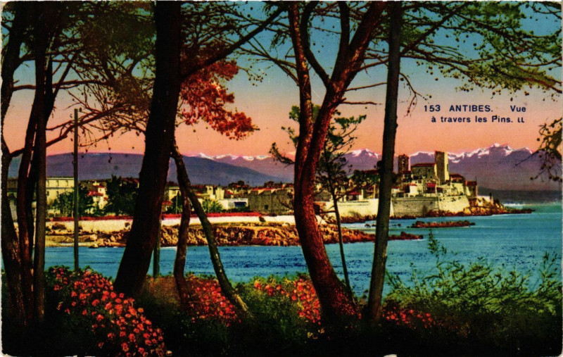 Carte postale ancienne Antibes - Vue a travers les Pins à Antibes