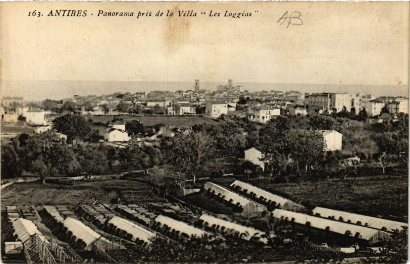 Carte postale ancienne Antibes - Panorama pris de la Villa Les Loggias à Antibes