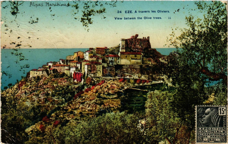 Carte postale ancienne Eze A travers les Oliviers à Èze