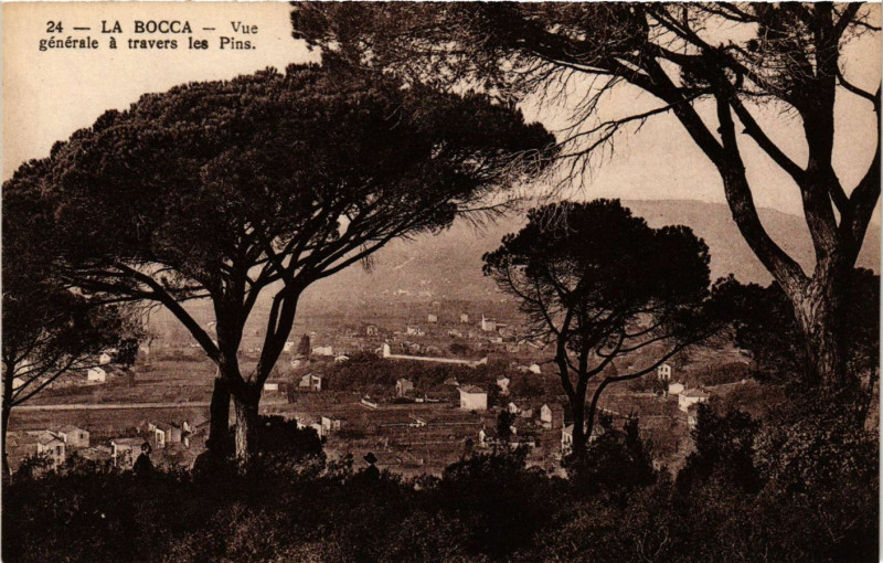 Carte postale ancienne La Bocca - Vue générale a travers les Pins