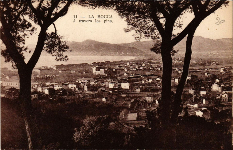 Carte postale ancienne La Bocca - La Bocca a travers les Pins