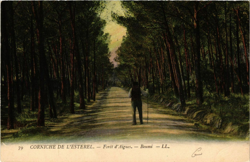 Carte postale ancienne Corniche-de-l'Esterel - Foret d'Aigues - Boumi