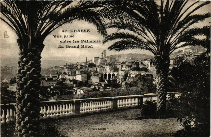 Carte postale ancienne Grasse - Vue prise entre les Palmiers du Grand Hotel à Grasse