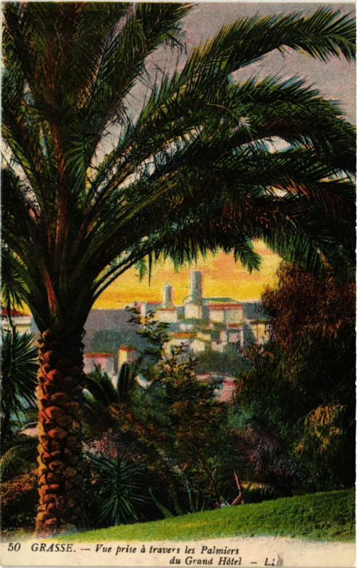 Carte postale ancienne Grasse - Vue prise a travers les palmiers de Grand Hotel à Grasse