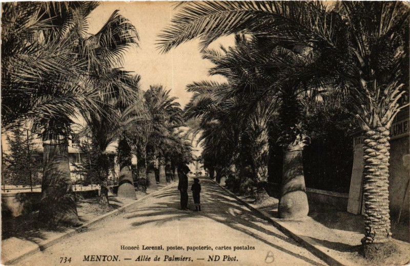 Carte postale ancienne Menton Allée de Palmiers à Menton