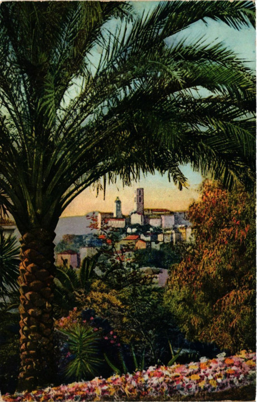 Carte postale ancienne Grasse - Vue prise a travers les palmiers de Grand-Hotel à Grasse