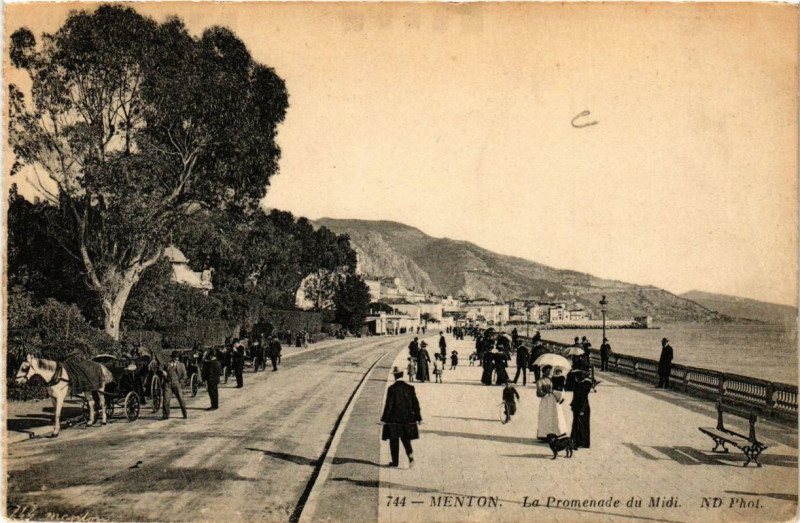 Carte postale ancienne Menton La Promenade du Midi à Menton