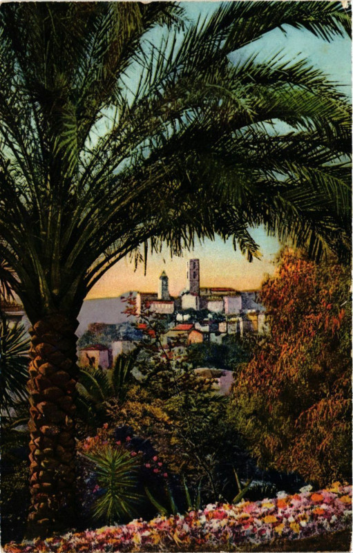 Carte postale ancienne Grasse - Vue prise a travers les palmiers de Grand-Hotel à Grasse